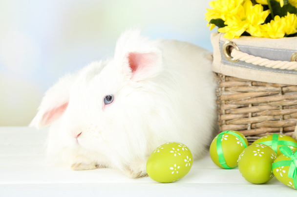 Valkoinen söpö kani ja pääsiäinen koostumus
 - Valokuva, kuva