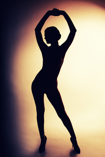 Erotic silhouette - Foto, Imagen