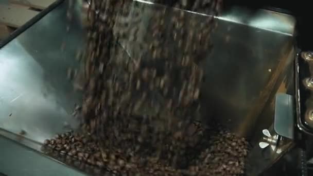Zpomalený záběr nalévání čerstvých pražených kávových zrn z pražicího stroje. - Záběry, video