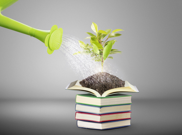 Books and watering pot - Photo, Image