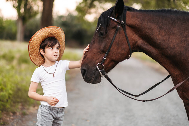 Cute little boy in a cowboy hat stroking a beautiful horse outdoors - Photo, Image