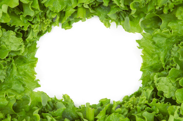 Close up view of lettuce in frame shape - Zdjęcie, obraz