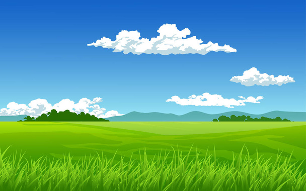 Green grassland on sunny day - Vector, Image