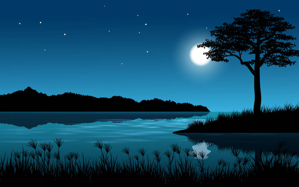 Όμορφη λίμνη τη νύχτα σκηνή με σεληνόφως - Διάνυσμα, εικόνα