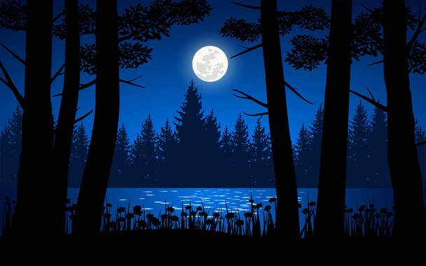 Beautiful night at lake with forest and full moon - Vector, Image