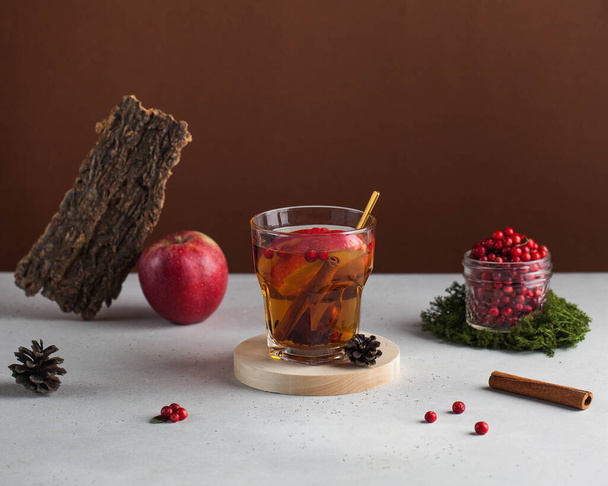 Banner. Trending photo of autumn hot tea with spices and berries. Autumn mood. Copy space. High quality photo - Foto, afbeelding