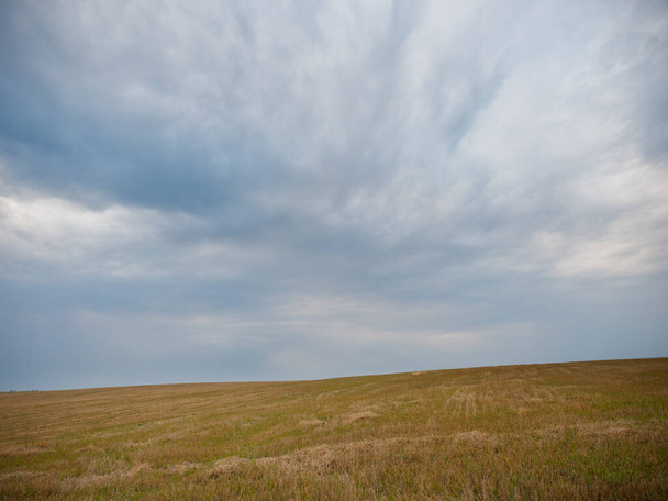 Летний пейзаж с пшеничным полем и облаками 2020 - Фото, изображение