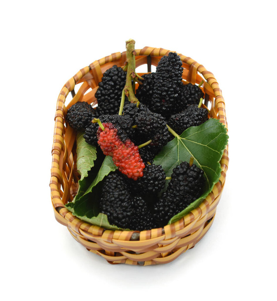 Kypsä Mulberry hedelmät eristetty valkoisella taustalla - Valokuva, kuva