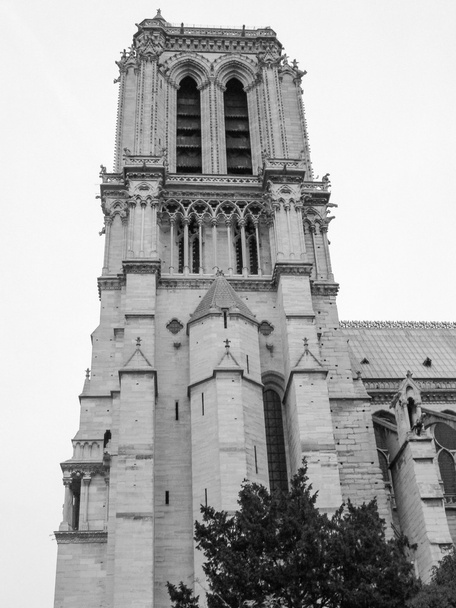 Notre Dame Paris - Photo, Image