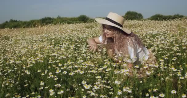 Όμορφο κορίτσι στο χωράφι με το χαμομήλι - Πλάνα, βίντεο