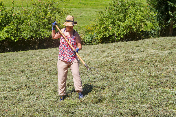 Женщина усердно работает на пастбище, собирает траву. - Фото, изображение