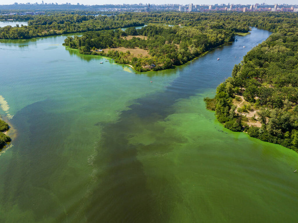 ドニエプル川の空中ドローンビュー。川に咲く藻類の緑の質感. - 写真・画像