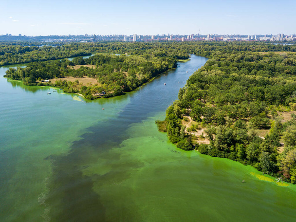 Aerial drone view of the Dnieper river. Green texture from blooming algae in the river. - Photo, Image