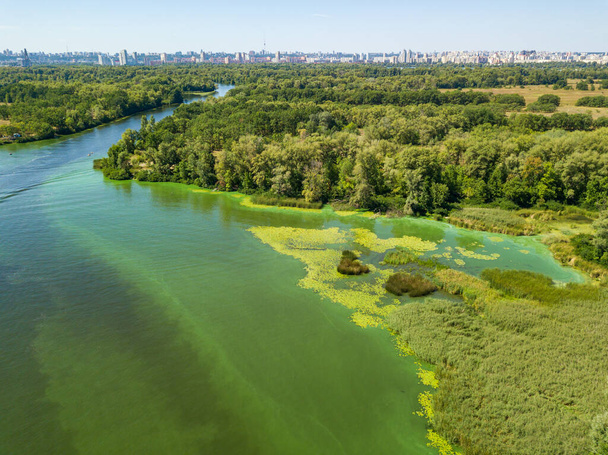 A Dnyeper folyóra néző drón. Zöld textúra virágzó algákból a folyóban. - Fotó, kép