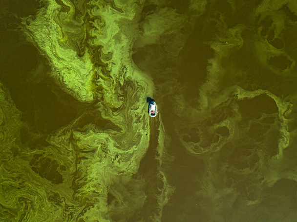 Łódź rybacka na zielonej wodzie, widok na drony lotnicze. Zakwit glonów w rzece, zielony wzór na wodzie. - Zdjęcie, obraz