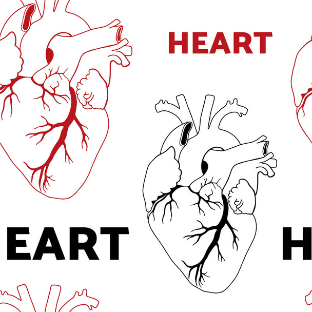 Ručně kreslený bezproblémový vzor na téma Světový den srdce 29. září. Zdobené ručně kresleným srdcem. - Vektor, obrázek