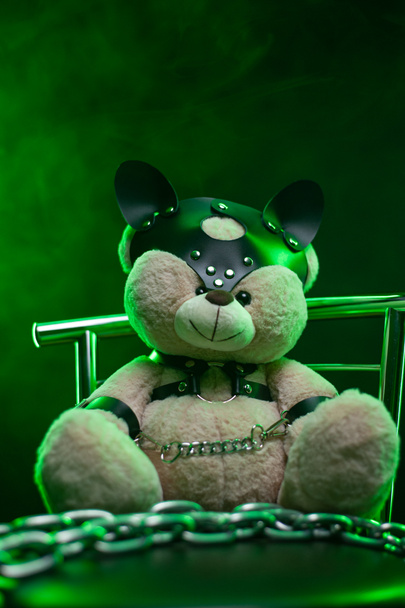 urso de brinquedo vestido com cinto de couro arnês acessório para jogos de bdsm em um fundo escuro - Foto, Imagem