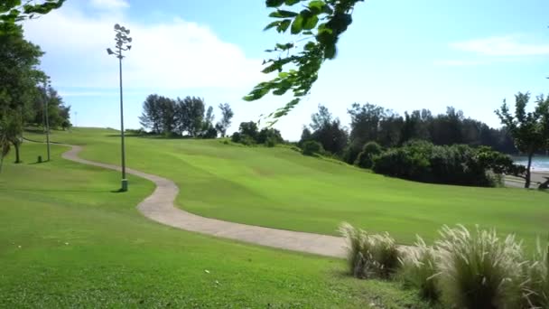 Τέλειο πράσινο γρασίδι σε ένα γήπεδο γκολφ στην ηλιόλουστη μέρα - Πλάνα, βίντεο