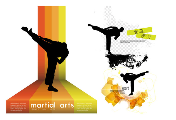 Jonge mannelijke karate krijger. Een gezonde levensstijl. Krijgskunst. Vector - Vector, afbeelding