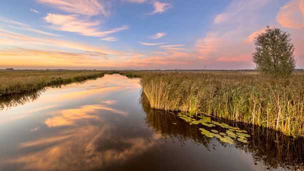Río a través de pantanos con plantas de nenúfar flotantes bajo el hermoso atardecer, Groningen, Países Bajos - Foto, imagen