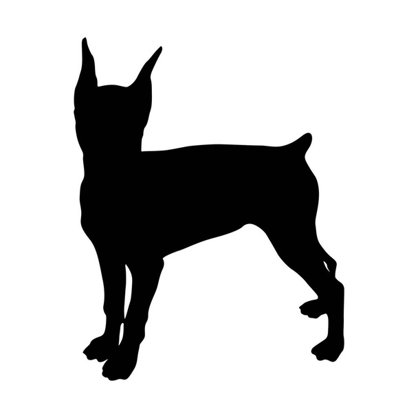 German Pinscher Dog Silhouette Found In Map Of Europe - Vector, Image
