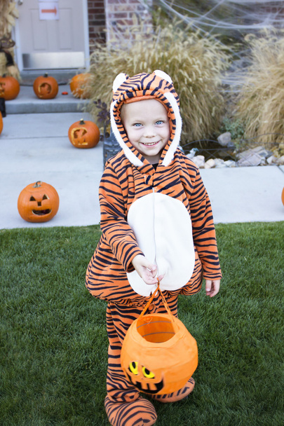 Little Boy in Costume Trick-or-treating on Halloween - Photo, Image