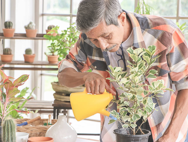 Heureux homme âgé asiatique debout à la table d'intérieur avec des pots de plantes, prenant soin des plantes d'intérieur, l'arrosant avec un arrosoir jaune.. - Photo, image