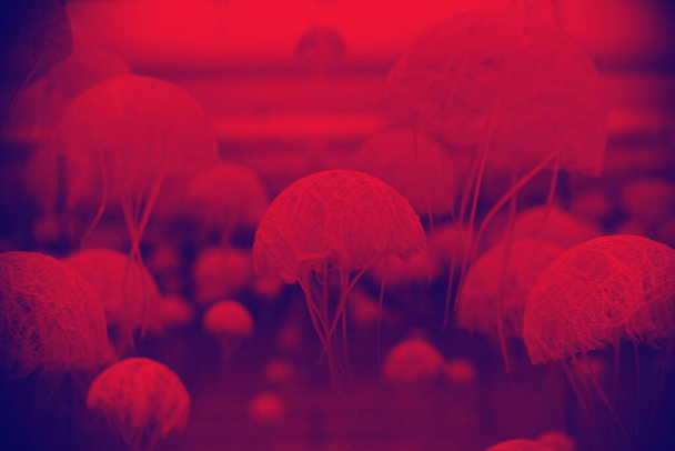 hatalmas medúza duoton élénk, merész gradiens holografikus színekben. Fogalom művészet. minimális szürrealizmus - Fotó, kép