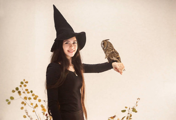 Positive smiling young female dressed in black witch costume with owl on stretched arm standing against light wall with tree branches  - Photo, Image