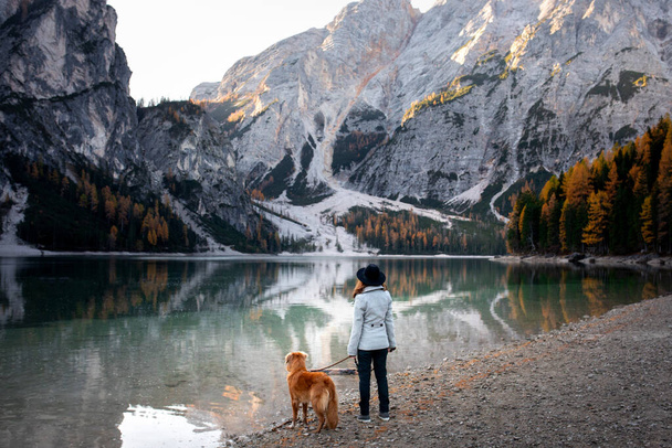 女の子と犬が立って湖を見ています.  - 写真・画像
