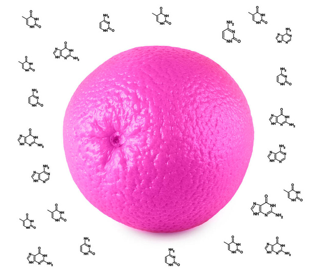 Genetyczne modyfikacje żywności. Kolaż z fioletowymi pomarańczowymi owocami i formułami molekuł na białym tle - Zdjęcie, obraz