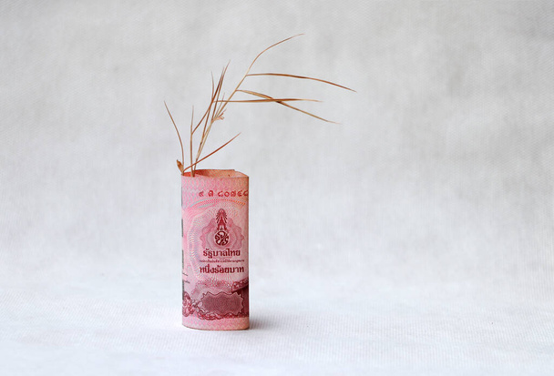 Заробив сто бат-банкнот Таїланду з коричневою гілкою дерева на білій підлозі. Концепція грошового інтересу. - Фото, зображення