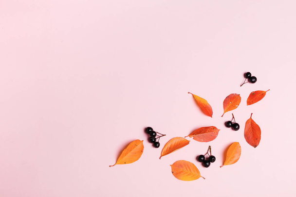 Herbst Hintergrund aus Herbstblättern und Beeren auf rosa Hintergrund. - Foto, Bild