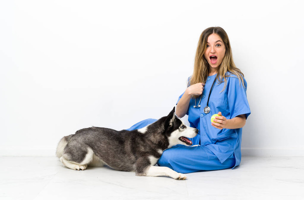 勝利を祝う床に座っているシベリアハスキー犬と獣医医師 - 写真・画像