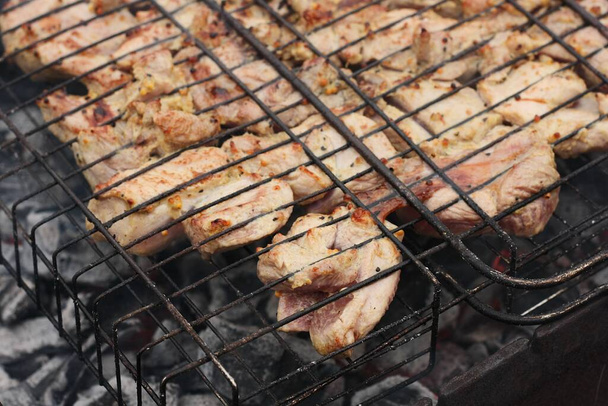Куряче м'ясо зі спеціями на грилі для барбекю
  - Фото, зображення