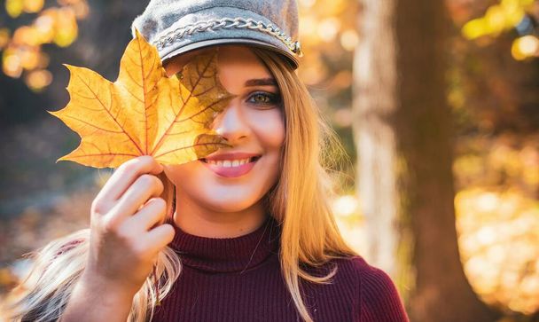 Podzim - podzimní sezóna, ležérní styl pro ženy plus velikosti. Módní oblečení a oblečení prvky - Fotografie, Obrázek