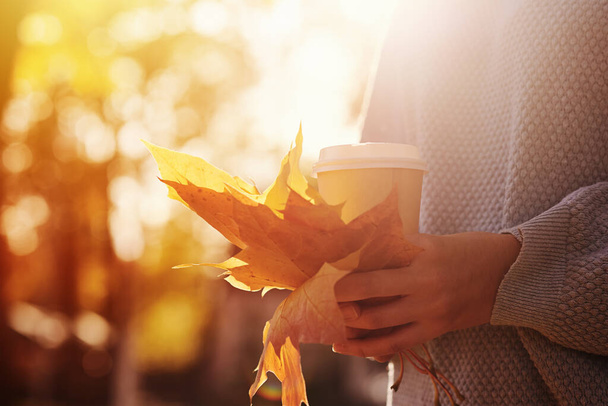 Mujer sostiene hojas de arce de colores en su mano con el fondo del parque de otoño - Foto, Imagen