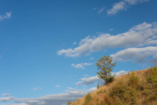 Sommerlandschaft eines einsamen Baumes vor dem Hintergrund eines wolkenverhangenen blauen Himmels. Einsamer Baum vor blauem Himmel bei Sonnenuntergang. - Foto, Bild