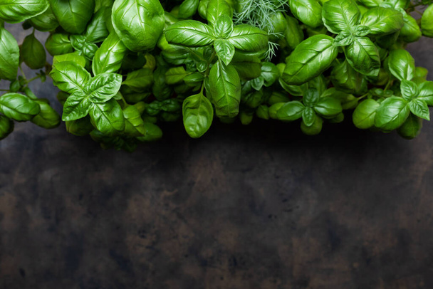 Fresh green basil on a dark background. Old metal tray. Flat lay, copy space for text - Foto, Bild