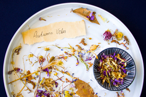 Ambiances automnales, plantes séchées et fleurs sur l'assiette sur fond bleu, tournage en studio - Photo, image