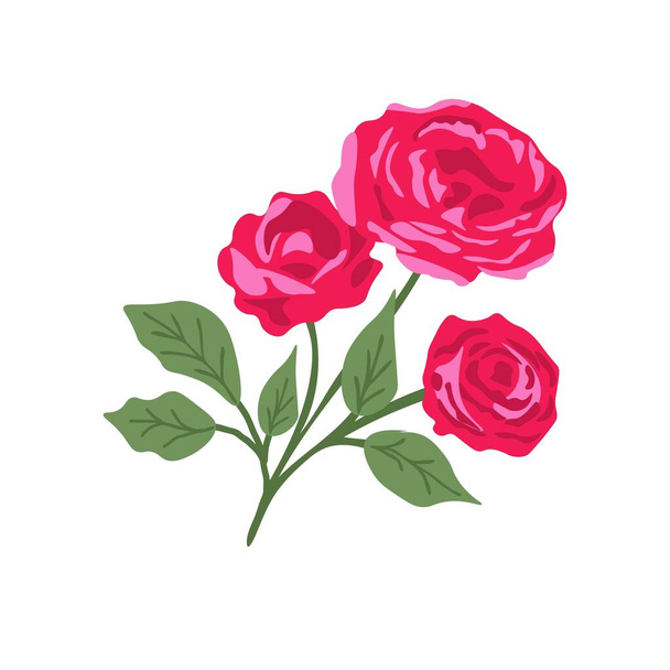 Vereinzelte Rosenpflanze auf weißem Hintergrund - Vektor, Bild