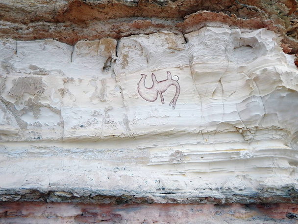 Tekening van een kameel op een rots. Rotsachtige kust van de Kaspische Zee. 16 juli 2019 jaar. Regio Kazachstan Mangistau. - Foto, afbeelding