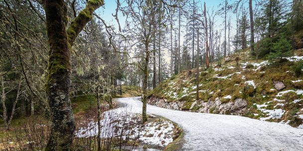 Snowy road in forest on Mount Floyen, Bergen, Norway, Scandinavia. - Fotó, kép