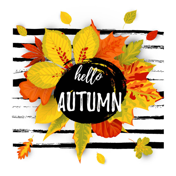 Hello Autumn flyer template. Яркие осенние листья с яркими осенними листьями и нарисованным вручную фоном. Плакат, открытка, этикетка, дизайн баннера. Векторная иллюстрация. - Вектор,изображение
