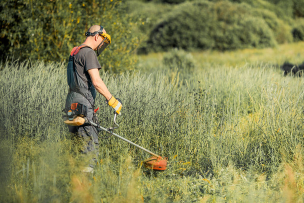 Erkek bahçıvan çim biçme makinesiyle çimleri biçiyor.. - Fotoğraf, Görsel