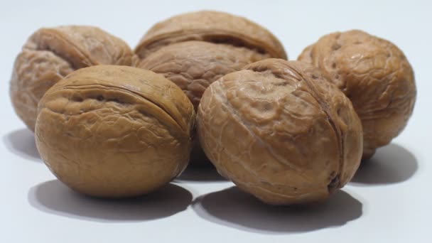 Suché vlašské ořechy na bílém pozadí - Záběry, video