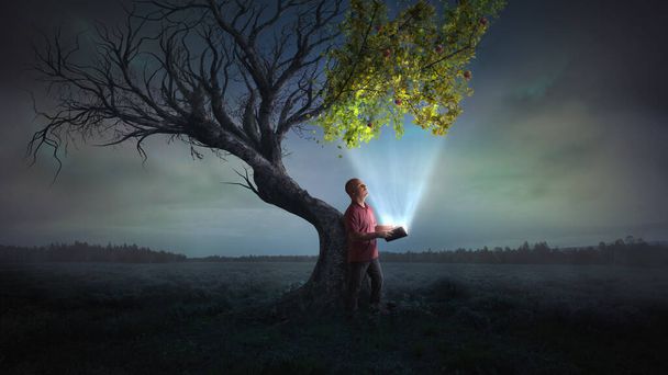 Un hombre sostiene abierto un libro brillante, que lleva a la vida en un árbol muerto. - Foto, imagen