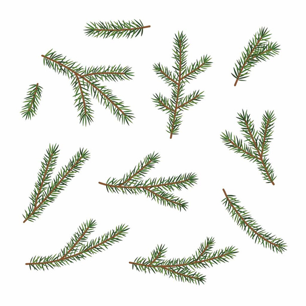 Rami verdi di un albero di Natale, incastonati, isolati su sfondo bianco. - Vettoriali, immagini