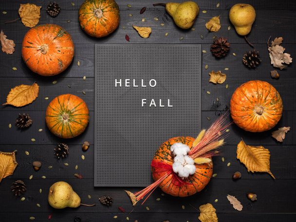 Hello fall greeting text on black decorations sign on dark wooden background. Autumn pumpkins, leaves and cones - Photo, Image