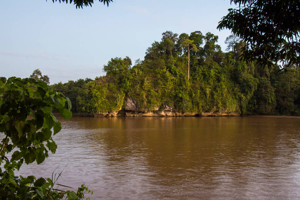 Un fiume marrone denso ha volato attraverso una foresta pluviale tropicale. - Foto, immagini